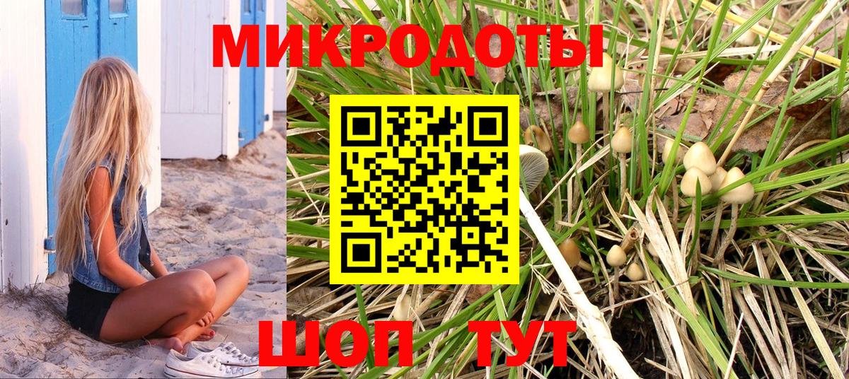 Псилоцибиновые грибы Magic Shrooms Карачаевск