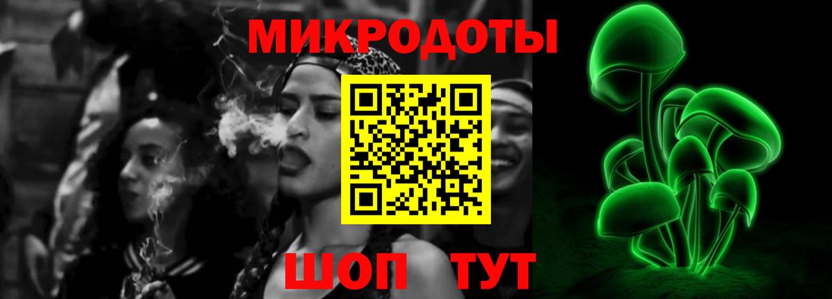 Псилоцибиновые грибы прущие грибы  Галлюциногенные грибы Cubensis  купить наркотики цена  Вход с VPN  Карачаевск 